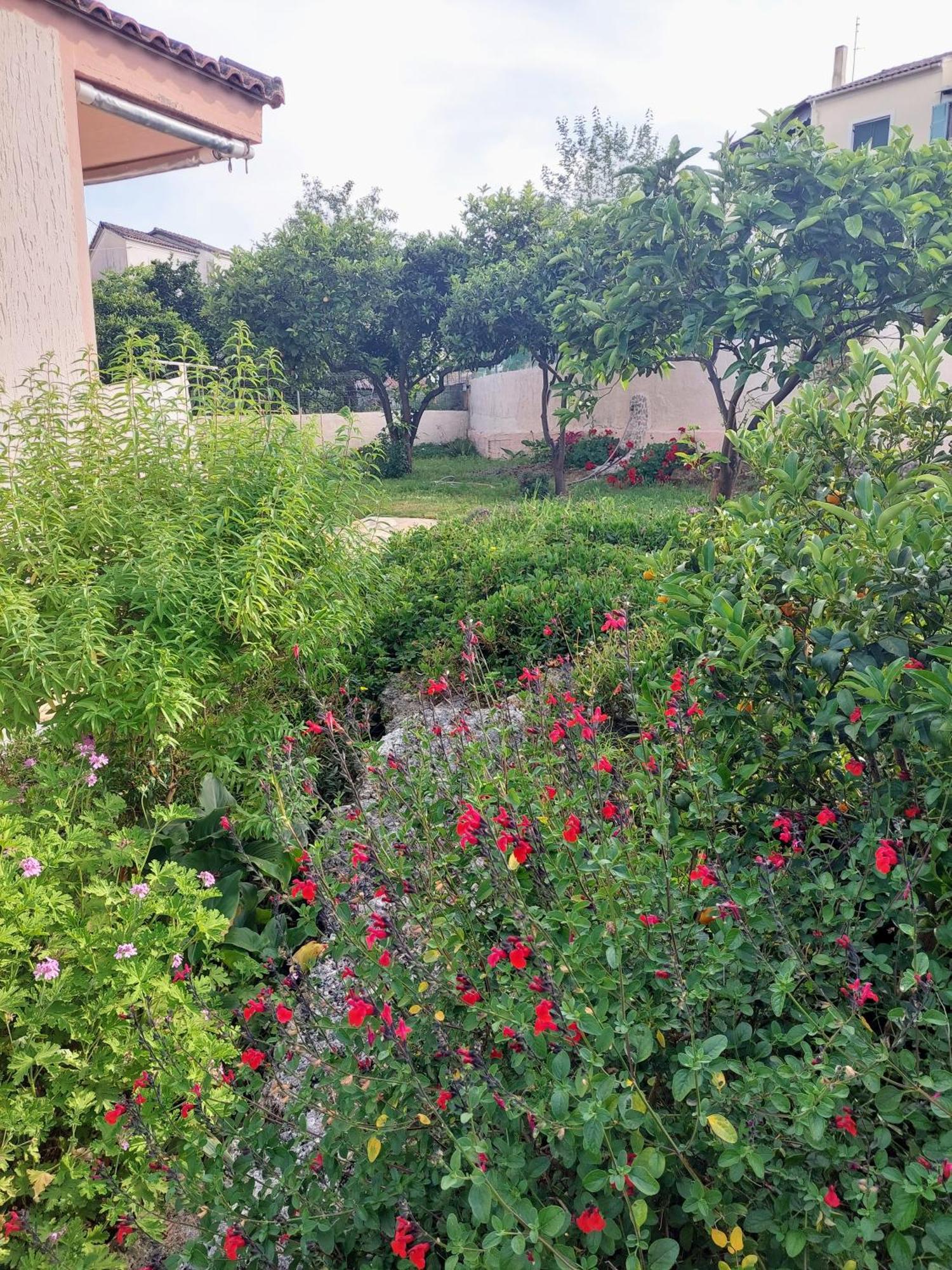 Summer Village House Popi Kanakádes 外观 照片